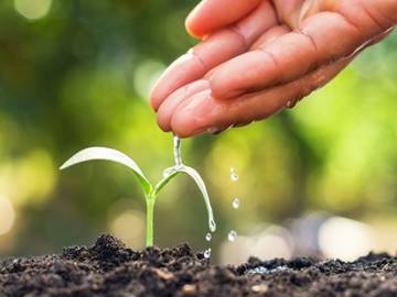 Cao thượng là gì? Phẩm chất thường có ở người cao thượng 3