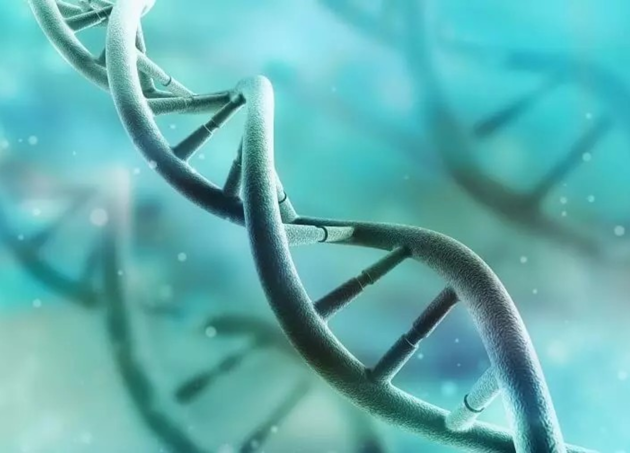 DNA năng lượng 