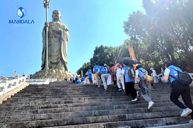 Trường Lượng Tử & Nhân Duyên - Chữa lành nghiệp quả, nâng cao tần số rung động