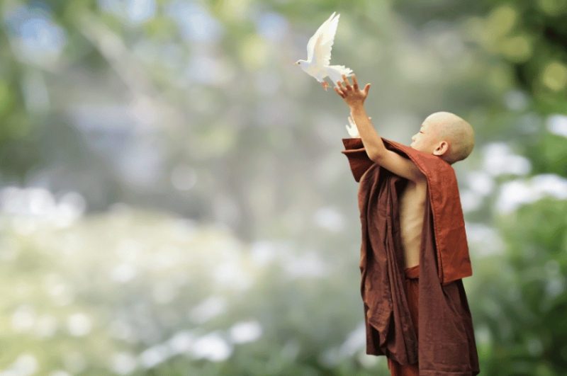 Phóng sanh dưới góc nhìn Mandala không chỉ là hành động nhân đạo, mà là nghi lễ chuyển hóa nghiệp tâm và giải phóng nội lực bên trong