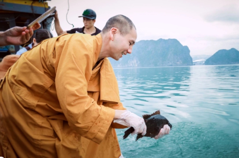 Thực hành phóng sanh đúng minh triết giúp làm sạch trường khí, kích hoạt bình an và thịnh vượng bền vững