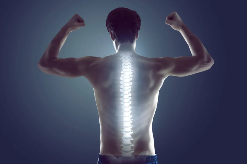Cột sống là trục sinh lực cốt lõi, nơi kết nối thân thể, năng lượng và trí tuệ con người