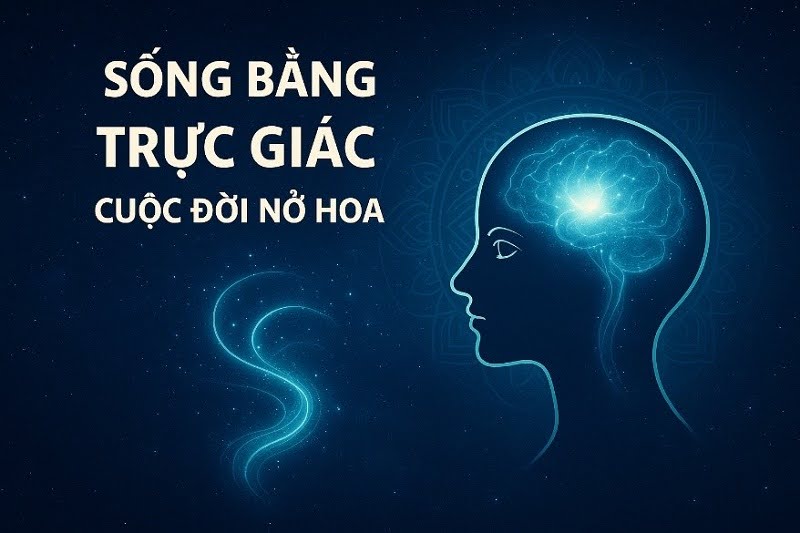 Sống Bằng Trực Giác Thì Cuộc Đời Bắt Đầu Nở Hoa