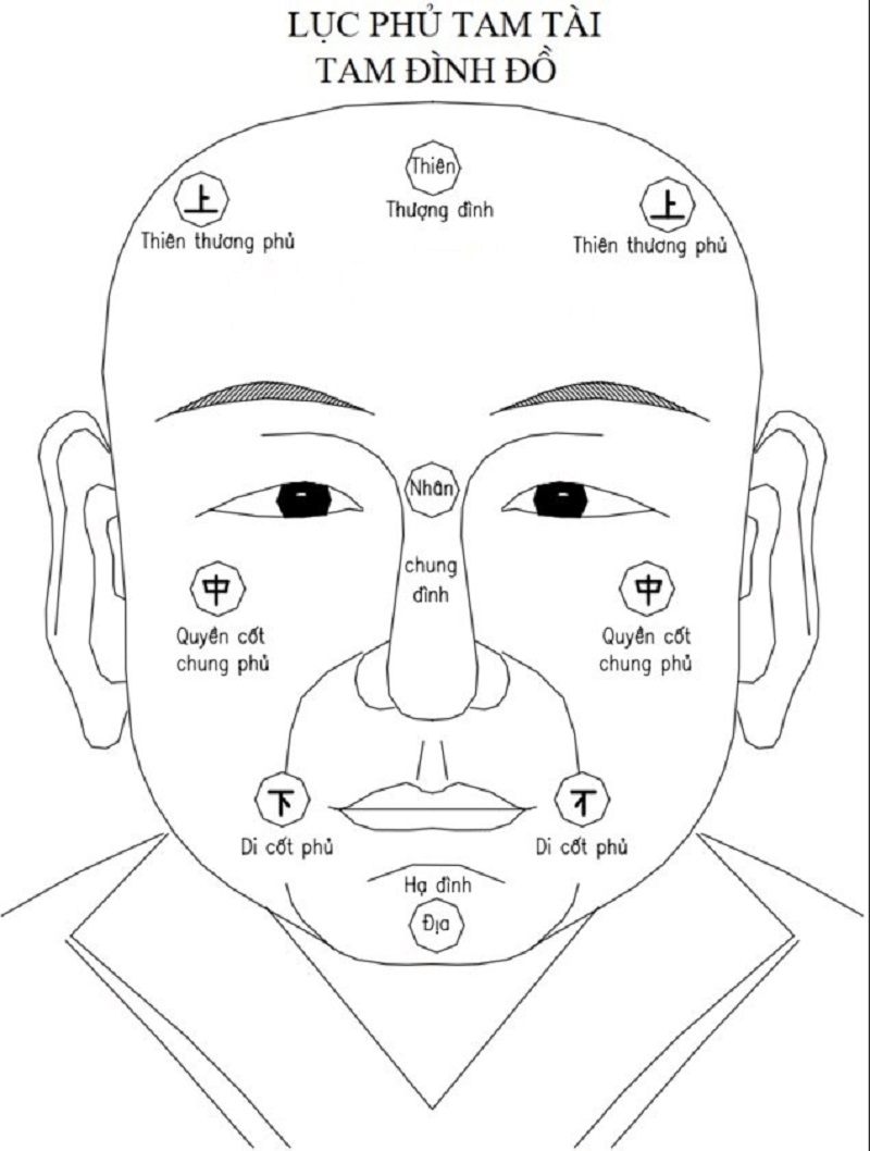 Tướng học quan sát tổng thể Tam tài Thiên Địa Nhân