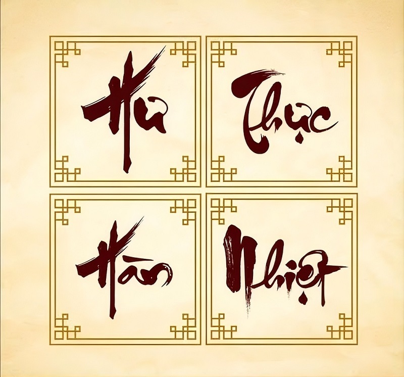 Thể Chất Đông Y Hàn Nhiệt Hư Thực