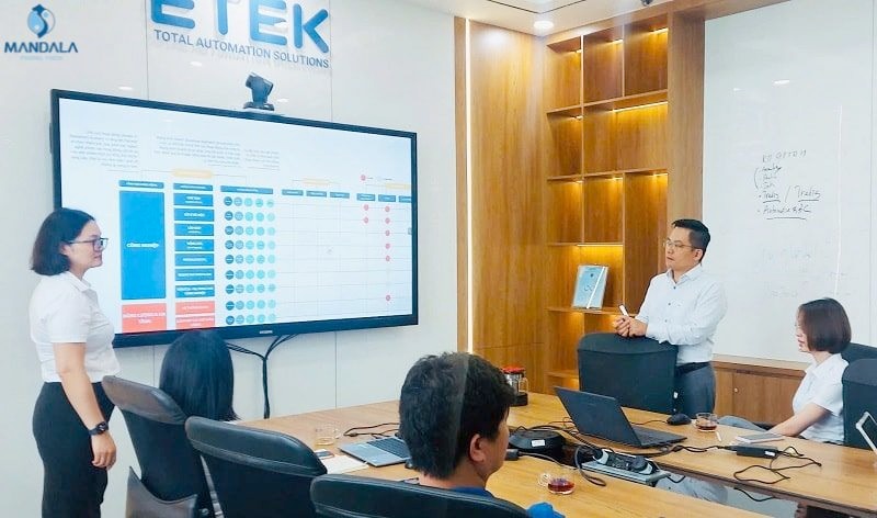 tu-van-chien-luoc-doanh-nghiep-nguyen-ngoan-etek