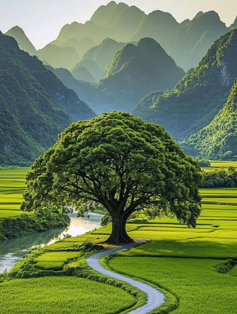 chu-ky-mat-troi-va-tri-tue-song-thuan-tu-nhien