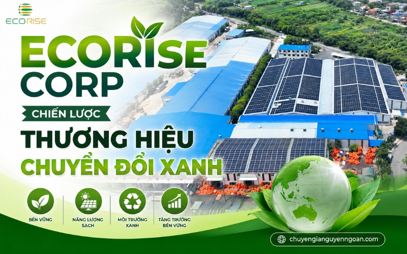 ecorise-corp