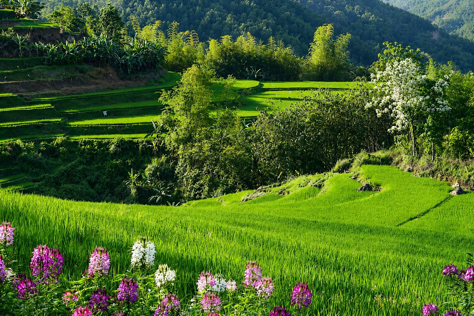 buong-bo-de-chuyen-hoa-tri-tue