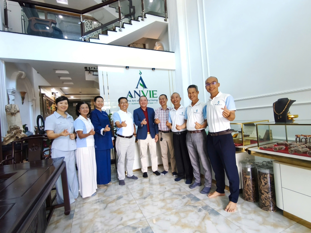 khi bạn tốt lên